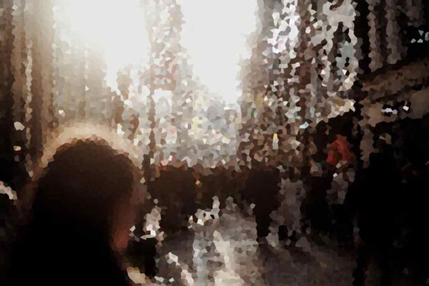 Quilted, Canvas, Corduroy—20 Field Jackets Perfect for Fall Layering