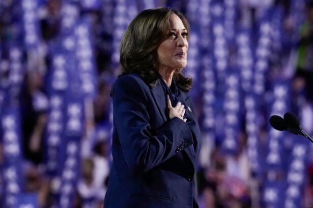 Harris Campaign Says It's Raised $540M, Sees Surge Of Donations During DNC