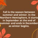 20 Fun and Fascinating Facts About Fall