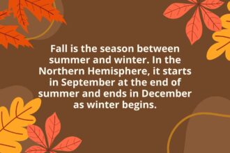 20 Fun and Fascinating Facts About Fall