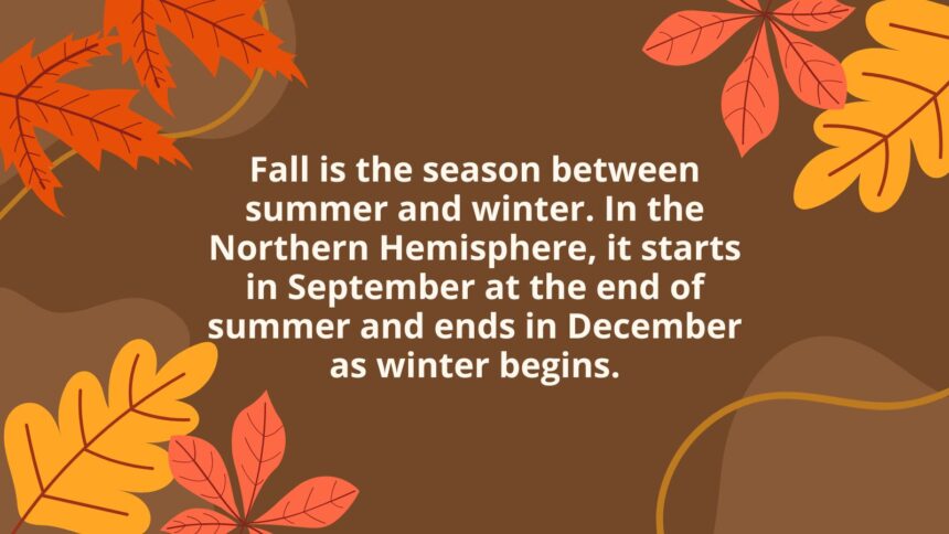 20 Fun and Fascinating Facts About Fall