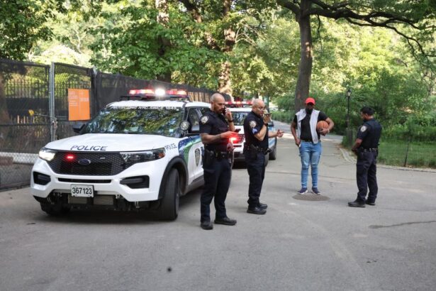 Armed robber in Central Park returns phone and apologizes before fleeing scene