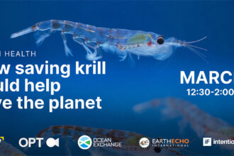 Best of Earth911 Podcast - Special Video Event: How Saving Krill Could Help Save The Planet