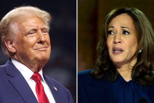 Don and Kamala Warring Over Hot Mics