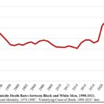 Homicide rates are a major factor in the gap between Black and white life expectancy, suggests study