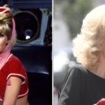 'I Dream of Jeanie' Star Barbara Eden Celebrates 93rd Birthday