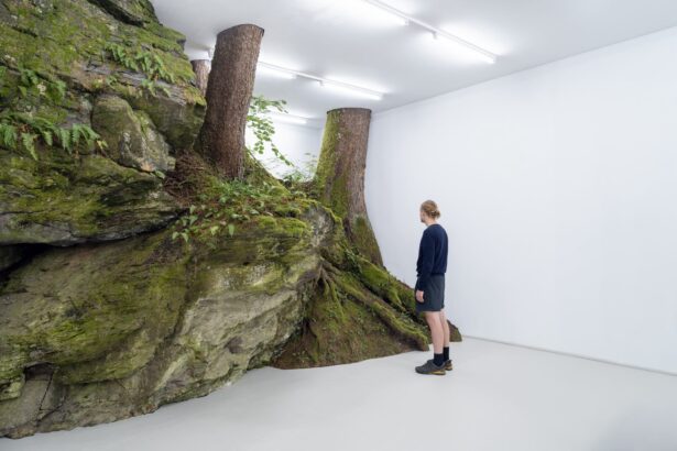 a white man in shorts and long sleeves stands next to trees and mossy craggy rocks in a white cube