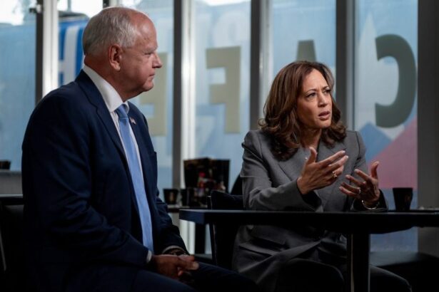 Kamala Harris Tells CNN Trump Is 'Dividing Our Nation'