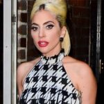 Lady Gaga Branded an 'A--hole' by Animal Rights Activists for 'Buying' New Dog