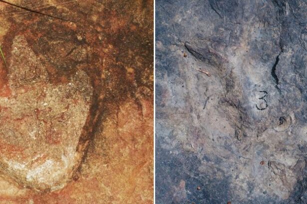 Matching Dinosaur Footprints Found 3,700 Miles Apart Reveal Earth's Past : ScienceAlert