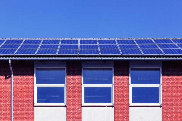 More Schools Invest in Solar Panels to Save Money and Help the Environment