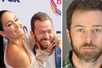 Nikki Bella Speaks After Artem Chigvintsev Domestic Violence Arrest