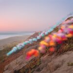 tufts of colorful tulle float down a hill by a beach