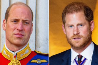 Prince William 'Doesn't Want' Prince Harry at His Future Coronation