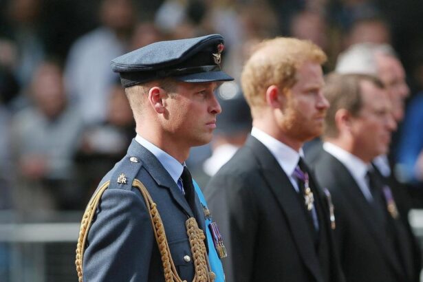 Prince William & Prince Harry Avoid Each Other At Uncle’s Funeral