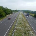 Road verges 'can save Britain’s biodiversity'