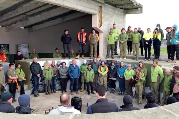 WW2 coastal defence site reopens to the public
