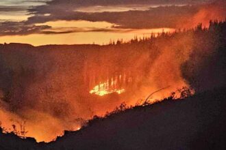 Waipara wildfire spreading again as winds pick up