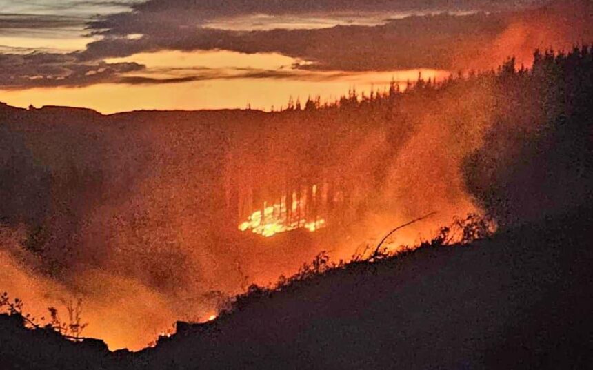 Waipara wildfire spreading again as winds pick up