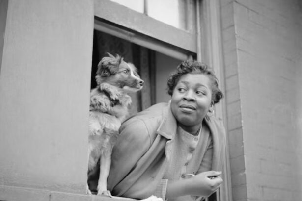 See Images of New Yorkers and Their Pets Across Three Centuries