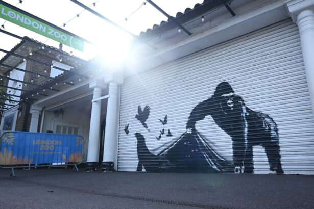 As Banksy’s Animal Art Series Ends, Caretakers Grapple With How to Preserve His Murals