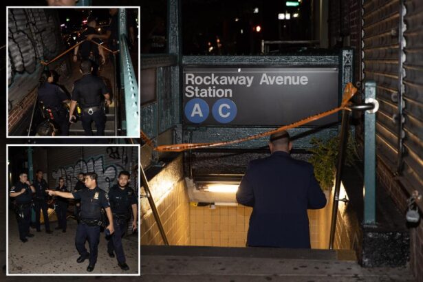 47-year-old fatally shot in the head at NYC subway station: police