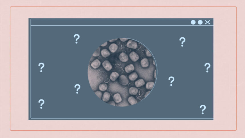 A STAT video explainer on a virus formerly called monkeypox