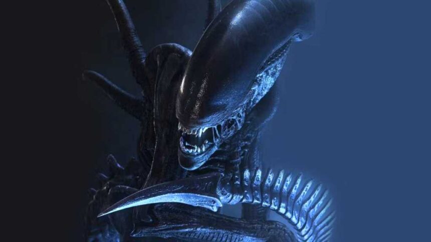 Alien - Xenomorph photo