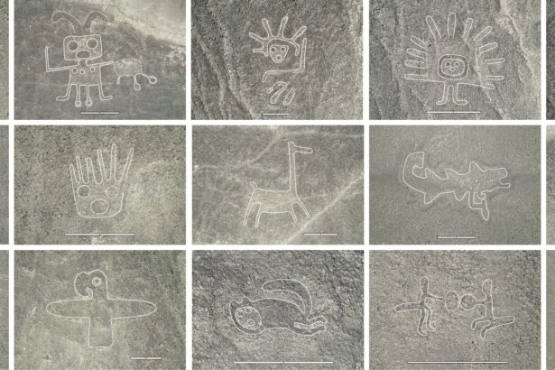 An A.I. Model Helped Uncover 303 Previously Unseen Nazca Lines in Peru — Colossal