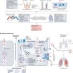 An invisible threat to cardiovascular health