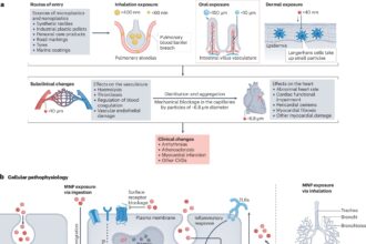 An invisible threat to cardiovascular health