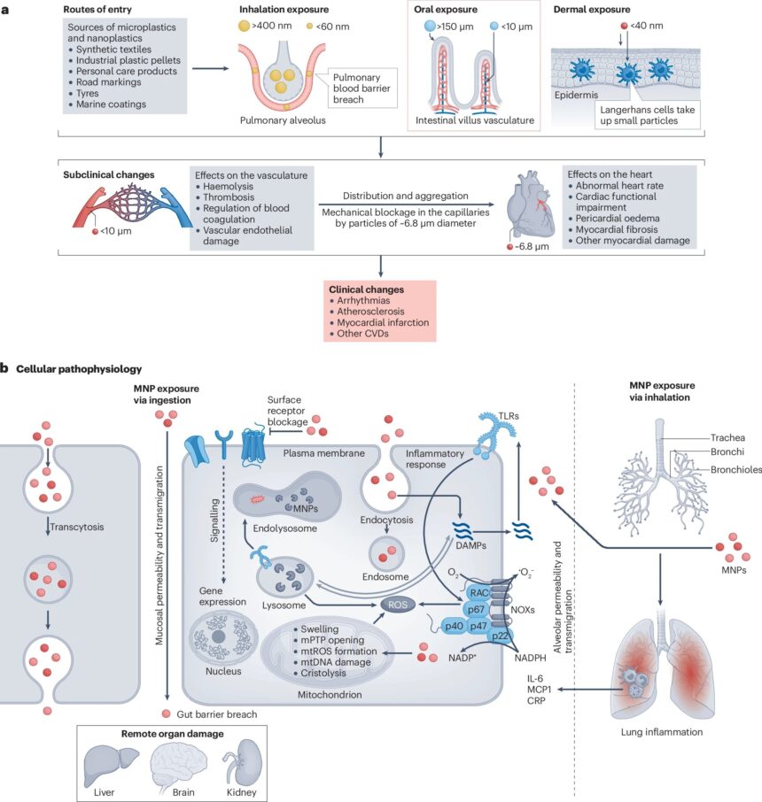 An invisible threat to cardiovascular health