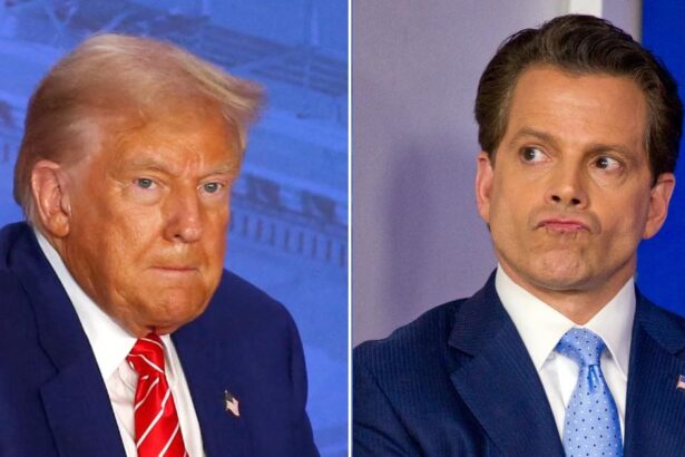 Anthony Scaramucci Calls Out Trump For Wearing 'Heels' and a 'Girdle'