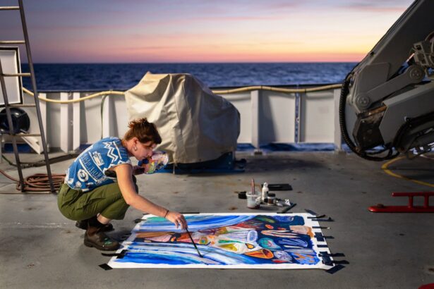 Art and Science Set Sail in Schmidt Ocean Institute’s Artist-at-Sea Program — Colossal