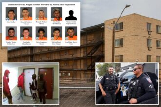 Aurora, Colorado, pours $10 million more into police as a struggles to crack down on Tren de Aragua and other migrant crime