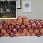 Border patrol seize more than 700 pounds of illegal bologna at Texas border