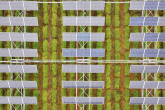 Can solar farms and crop farms coexist?