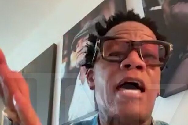 D.L. Hughley Says Janet Jackson Had Malicious Intent In Questioning Kamala’s Race