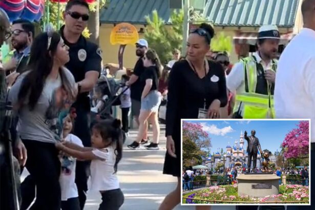 Disneyland mom Jessenia Diaz seen in viral TikTok being arrested next to sobbing kids breaks silence