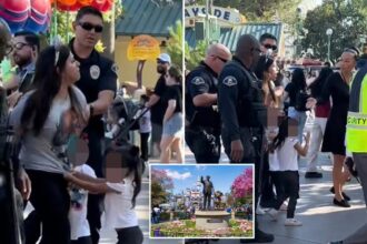 Disneyland mom hauled out in cuffs alongside hysterical children she tried sneaking into park without paying