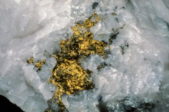 Gold nugget in quartz