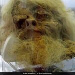 Extremely Well-Preserved Ancient Mummies Found In Iran