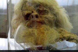 Extremely Well-Preserved Ancient Mummies Found In Iran