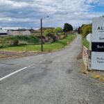 Forestry 'not to blame' for Timaru meatworks closure