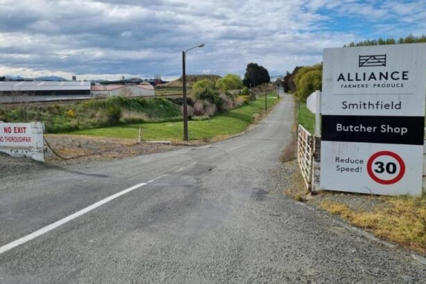 Forestry 'not to blame' for Timaru meatworks closure