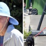 Frail Sally Field, 77, Looks Unrecognizable Walking Her Dog: Photos