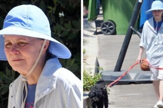 Frail Sally Field, 77, Looks Unrecognizable Walking Her Dog: Photos