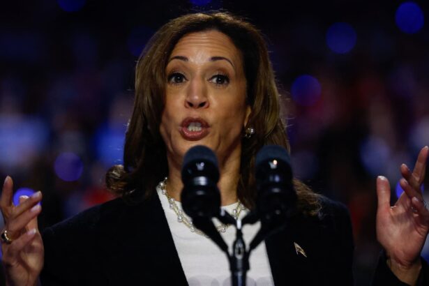 Harris’ rise in polls sparks wave of wealth transfers to kids