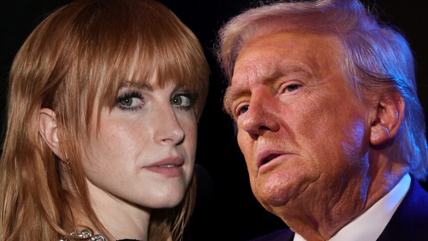 Hayley Williams Tells People to Vote If They Don't Want Trump 'Dictatorship'