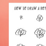 A piece of paper says How to Draw a Rose at the top and shows six different steps underneath in black marker on white paper.